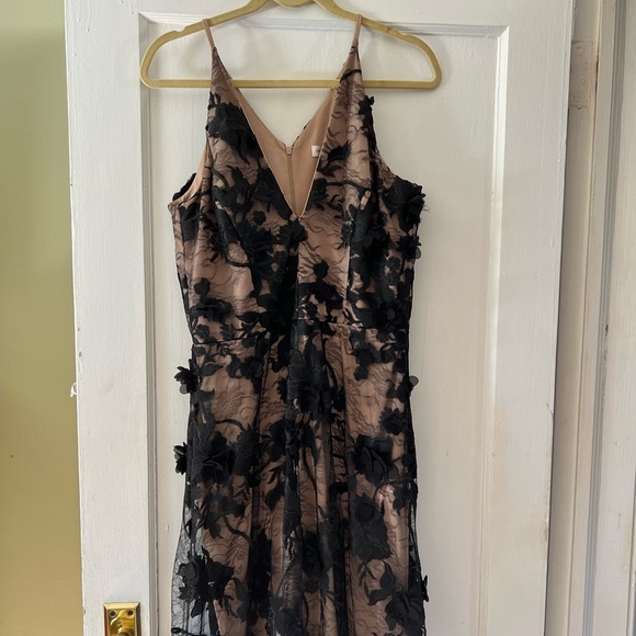 Dress the Population Lace Dress - Picture 4 of 5